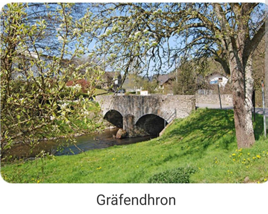 Dhrontalstube Apartment Grafendhron Bagian luar foto